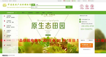 互聯(lián)網(wǎng)信息服務(wù)驅(qū)動(dòng)下的農(nóng)特產(chǎn)品電商新模式探析